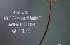 激励人心的句子,激励人心的力量