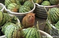 正在亲近互动中会不自愿地谈出嗯啊轻一点，，TVB前着名男星老婆晒妊妇照网友留言祝贺当事人不知喜从何来，分节阅读2-【骚0日志】_正在线免费全文阅读大壮、涛哥、臀