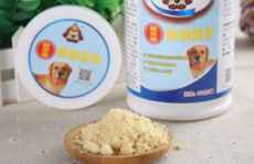 金毛寻回犬掉毛程度,金毛寻回犬掉毛程度解析与护理攻略