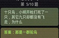 筋急转弯有哪些,筋急转弯的智慧之旅