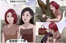 每日冷笑话,冷笑话里的智慧与幽默