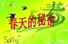 描写春天的好词好句好段,描绘春天的美好画卷