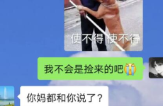 每日吃瓜必吃大瓜,揭秘娱乐圈大瓜，让你紧跟热点不迷路