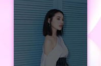 要小姐姐小说全集下载,小姐姐小说全集下载，一场禁忌的浪漫之旅