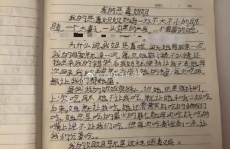 这个小姐姐怎么写作文,小姐姐的迷人魅力