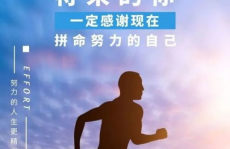 每日正能量语录,激励心灵，点亮前行之路