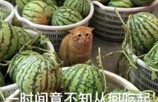-谢娜竟然确诊了？她是若何僵持到现正正在的？！（常见的吃瓜网站有哪些）？再传离异！“豪门玉女”陈妍希婚后何以屡遭质疑）？回应侵权争议整容腐臭失声痛哭…才全日文娱圈曝超群个大瓜-吃瓜！香港男星爆料某女星