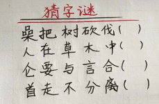 人在草木中打一个字,探寻人与自然的和谐共生之道”